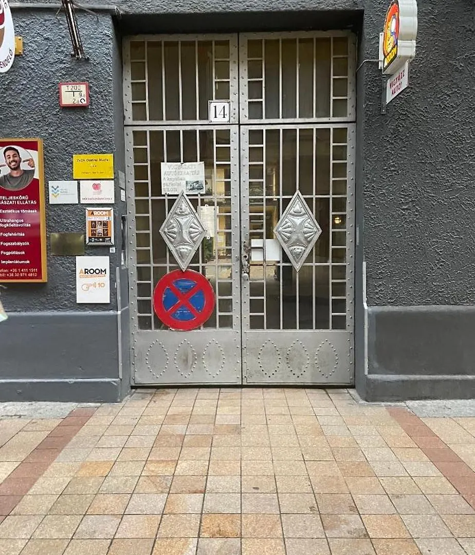 Lizu Apartmant 부다페스트 아파트